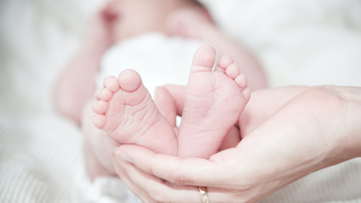 Zoveel baby’s zijn dit jaar geboren in Alkmaar