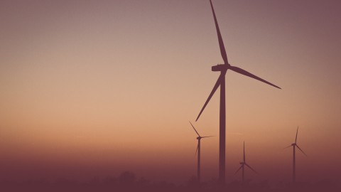 Grootste windpark op land officieel geopend.
