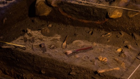 Nieuwe inzichten na vondsten archeologisch onderzoek Westfriesedijk