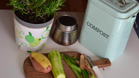 Workshop: Zelf compost leren maken